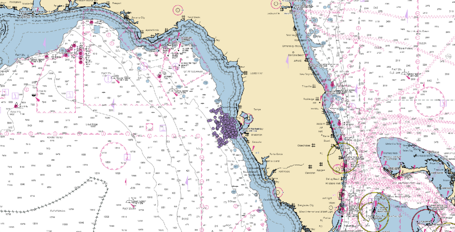 Tampa Bay – Regional Zone