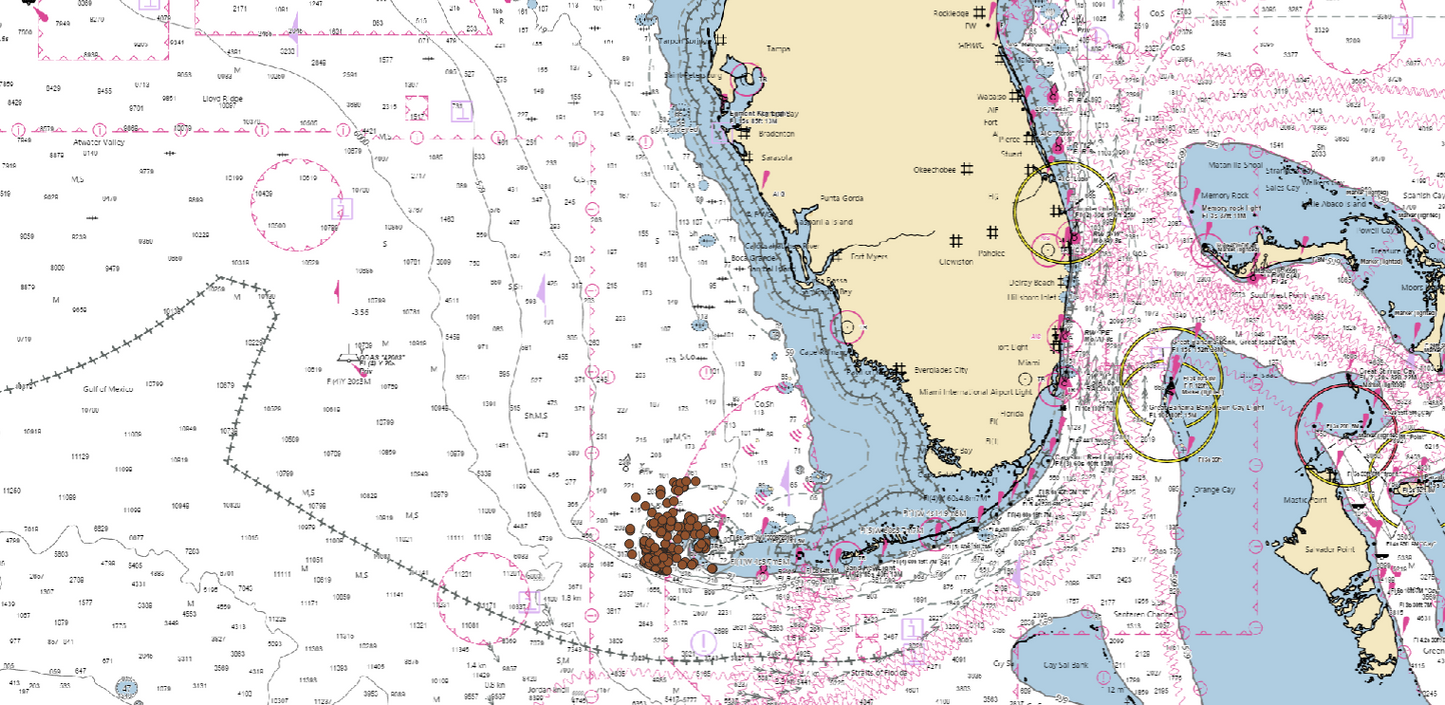 Dry Tortugas - Premium Zone